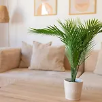 Casa Sanchez Old Town Marbella